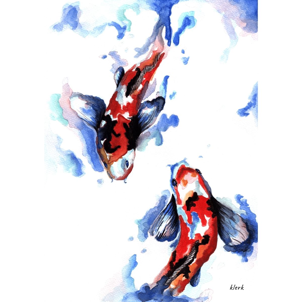 Koi Carp
